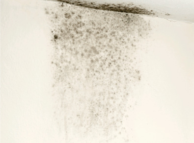 여수 주택 아파트 공장 결로검사 결로공사 시공업체