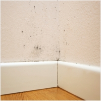 여수 주택 아파트 공장 결로검사 결로공사 시공업체-6106588