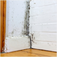 여수 주택 아파트 공장 결로검사 결로공사 시공업체-6106589