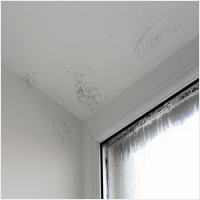 여수 주택 아파트 공장 결로검사 결로공사 시공업체-6106591